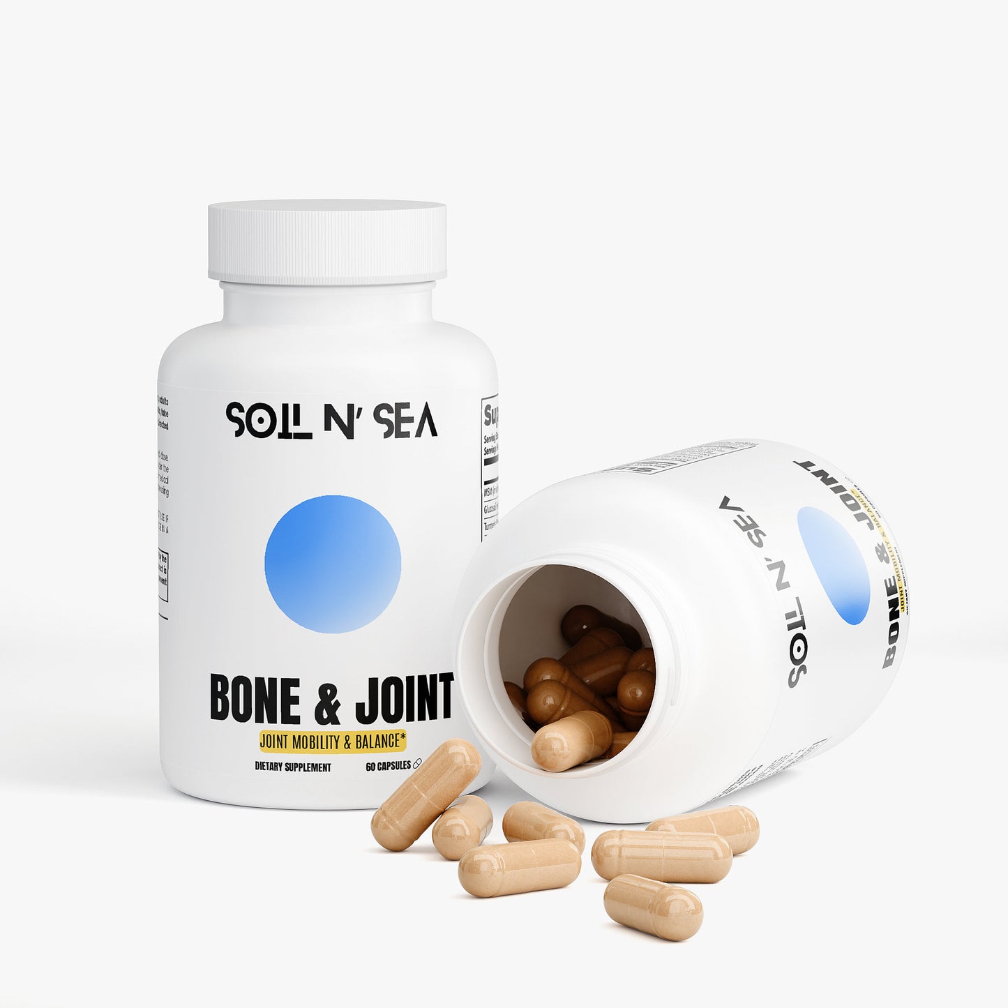 BONE & JOINT