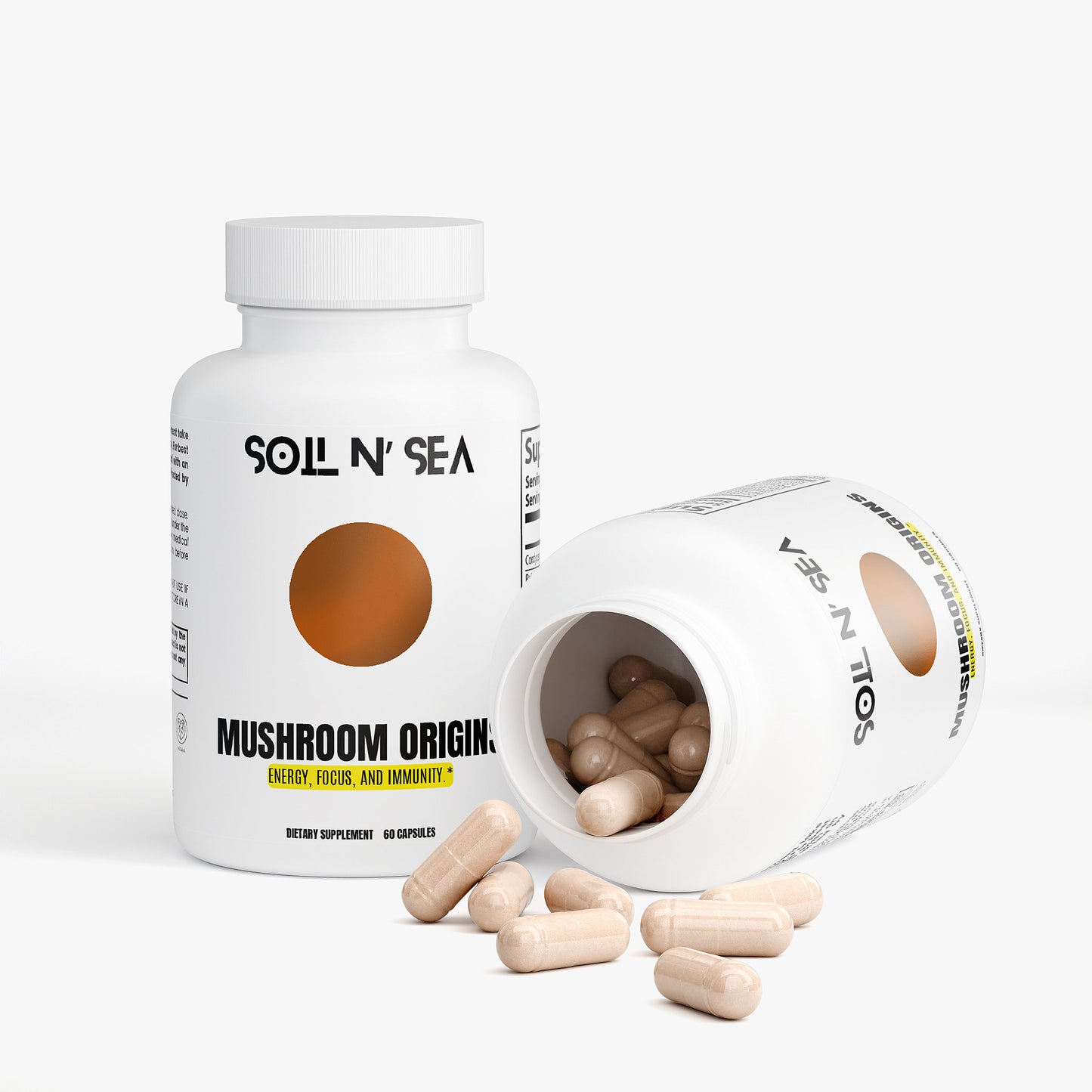 MUSHROOM ORGINS
