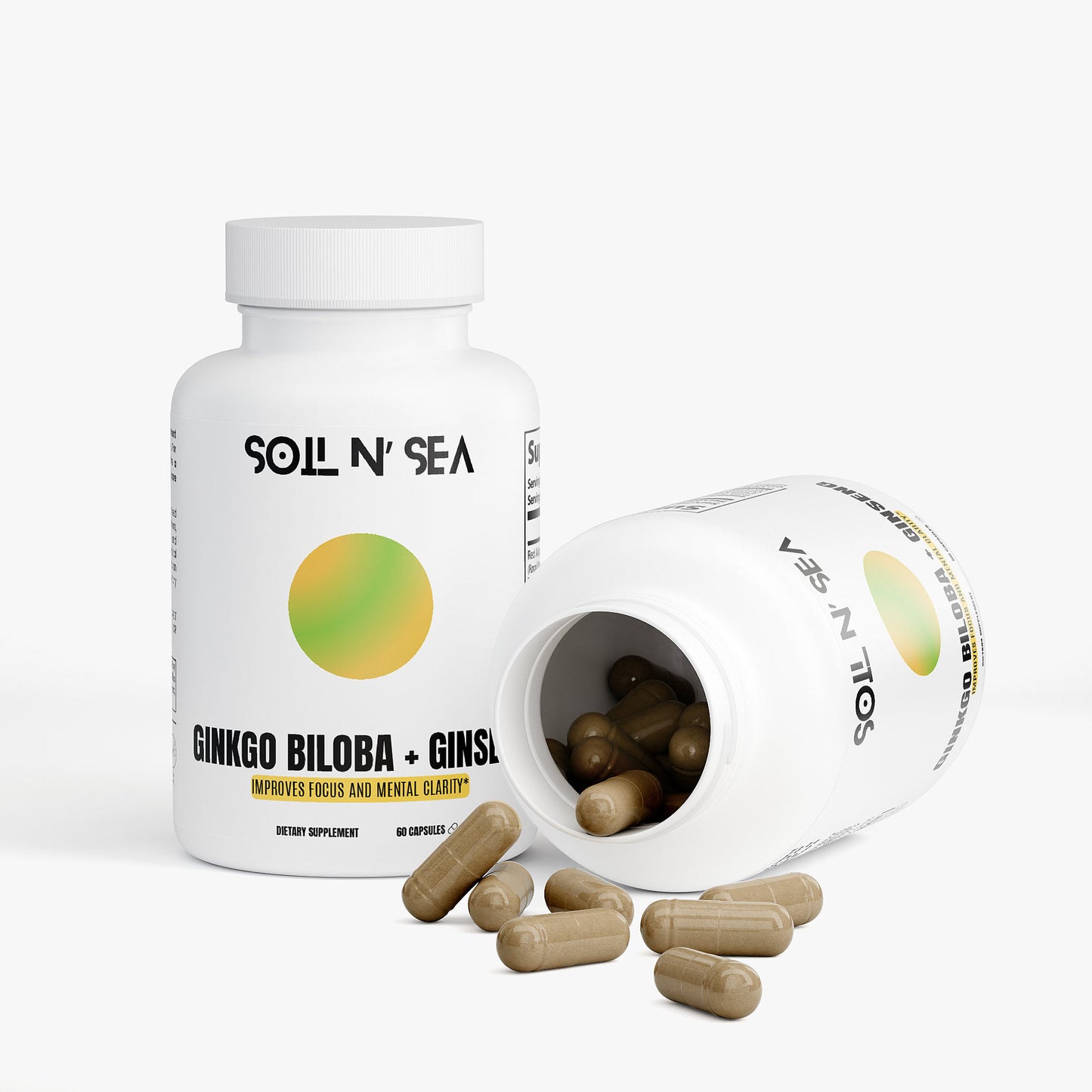 GINKO BILOBA + GINSENG