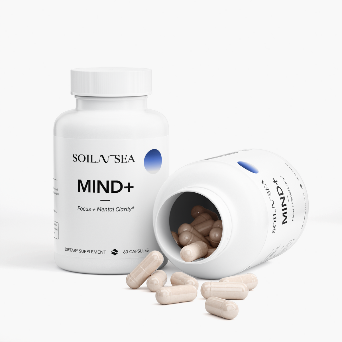 MIND+