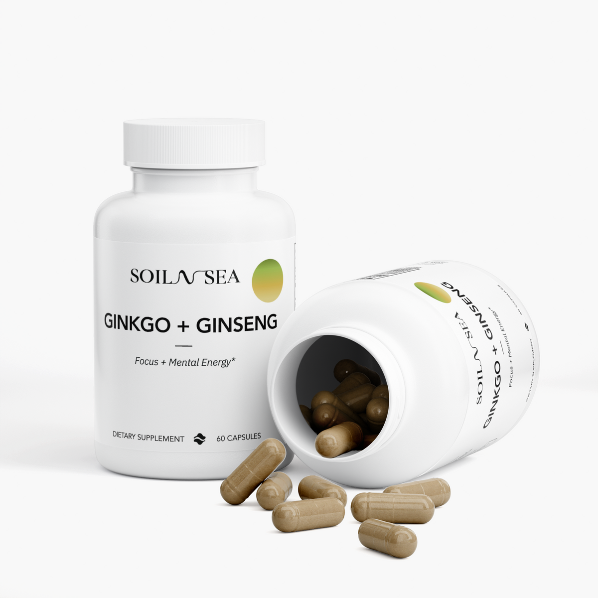 GINKO BILOBA + GINSENG